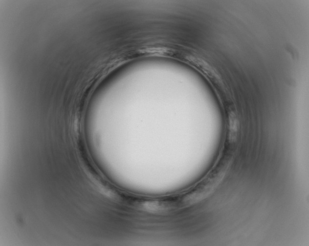 X0000113620641200910161954