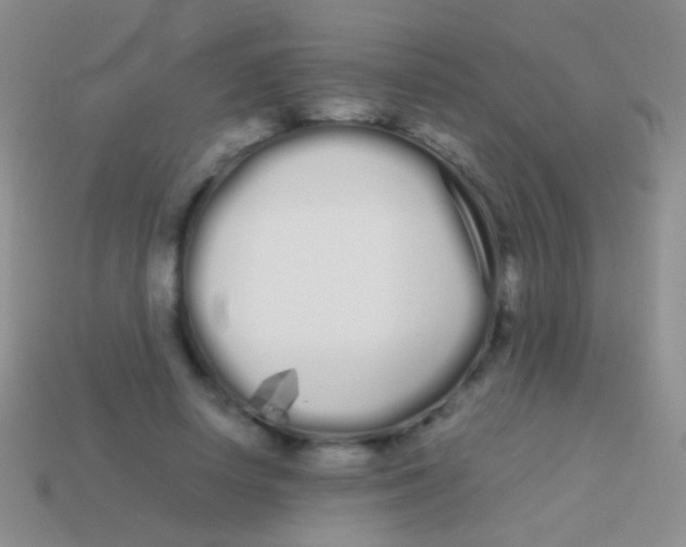 X0000113620642200910161954