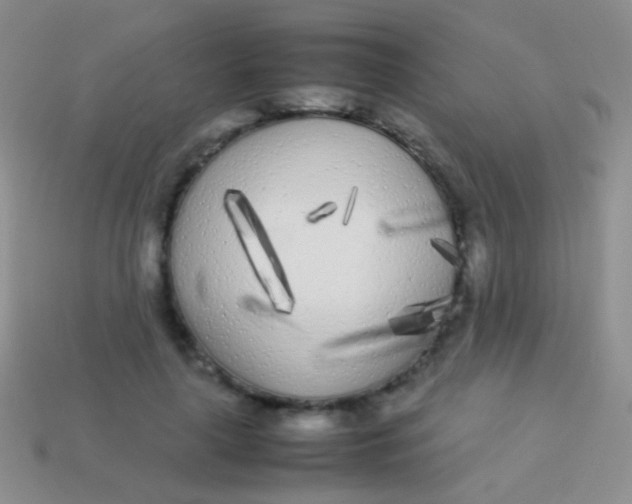 X0000113620643200910161954