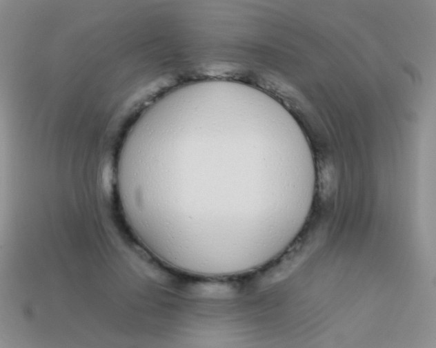X0000113620644200910161954