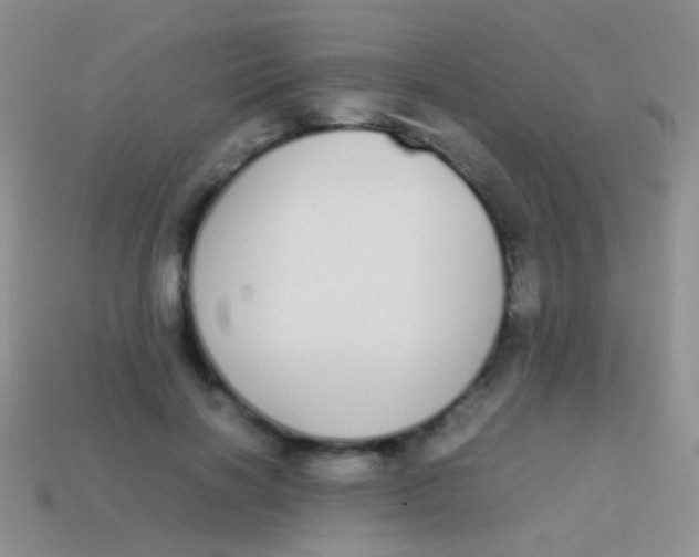 X0000113620646200910161954