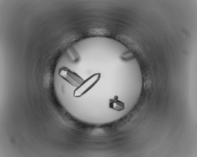 X0000113620647200910161954