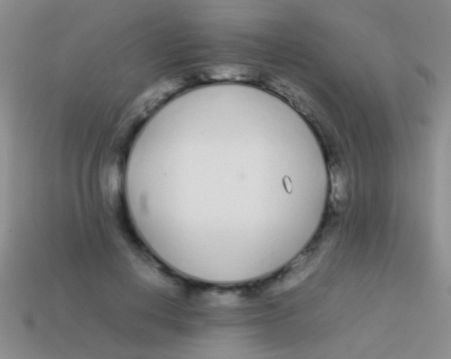 X0000113620648200910161954