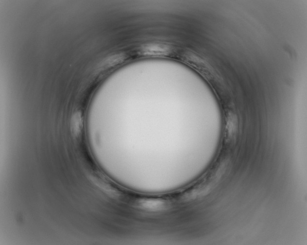 X0000113620649200910161954