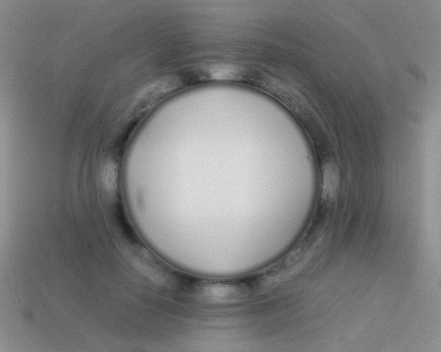 X0000113620650200910161954