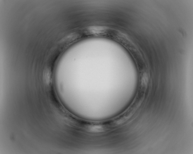 X0000113620651200910161954