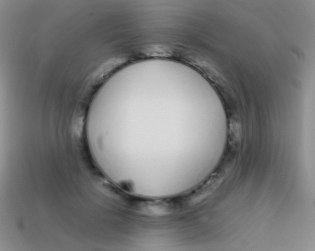 X0000113620652200910161954