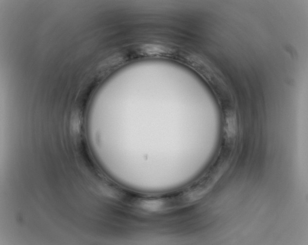 X0000113620653200910161954
