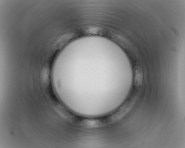 X0000113620654200910161954