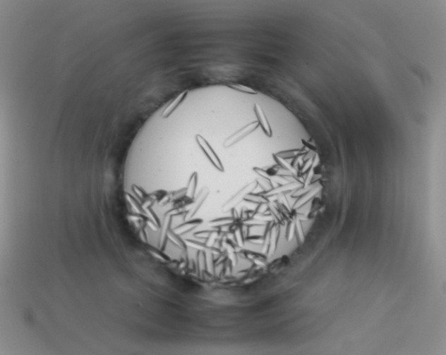 X0000113620655200910161954