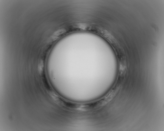 X0000113620656200910161954