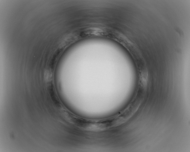 X0000113620657200910161954
