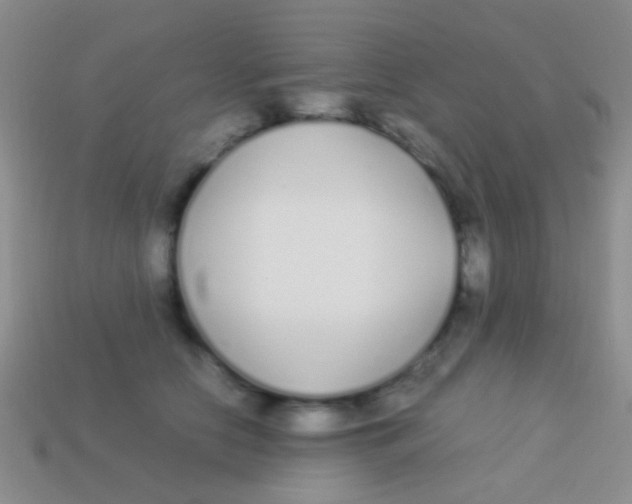 X0000113620658200910161954