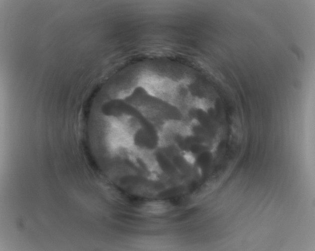 X0000113620659200910161954