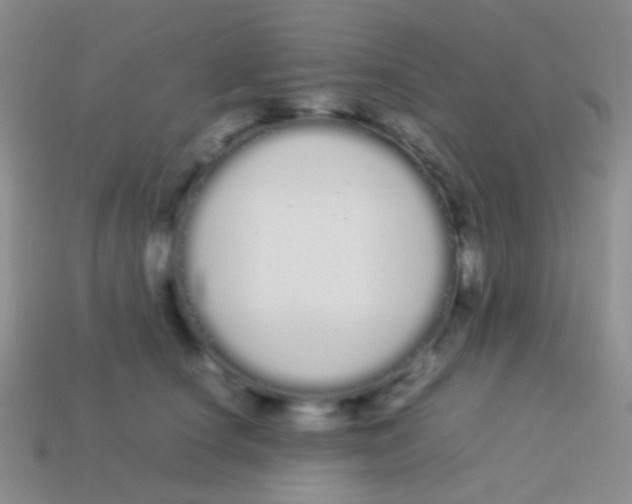 X0000113620660200910161954