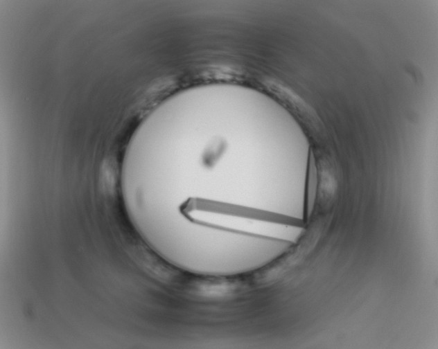 X0000113620661200910161954