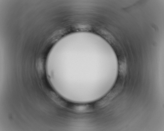 X0000113620662200910161954