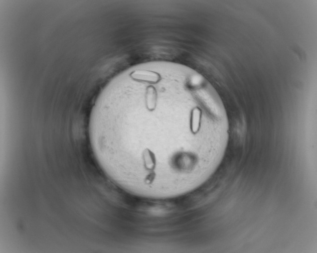 X0000113620663200910161954