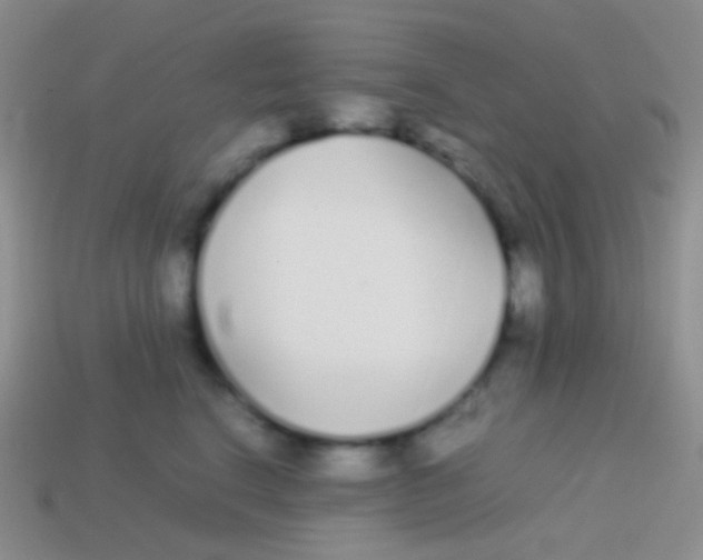 X0000113620664200910161954