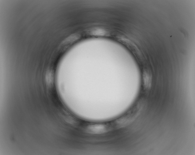 X0000113620665200910161954