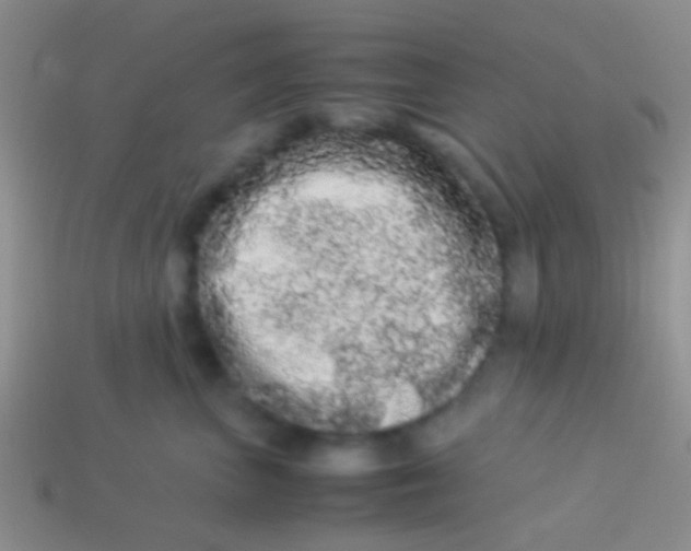 X0000113620667200910161954