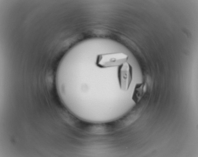 X0000113620668200910161954