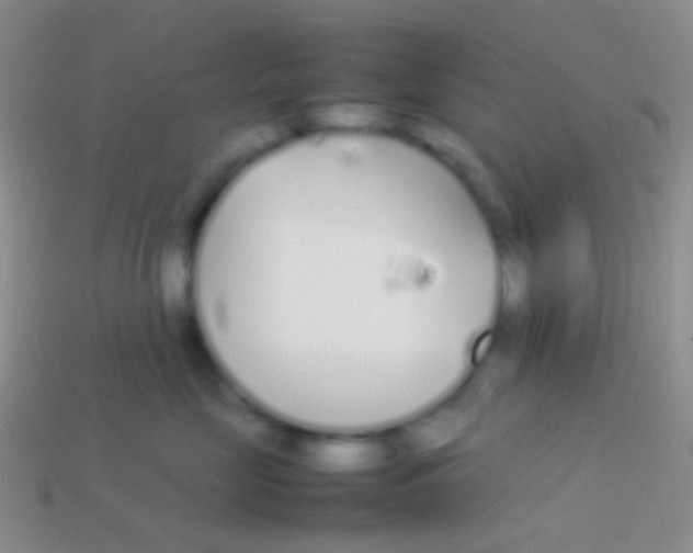 X0000113620669200910161954