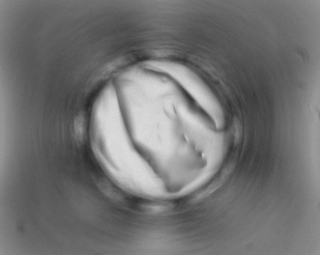 X0000113620670200910161954