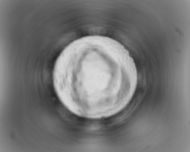 X0000113620671200910161954