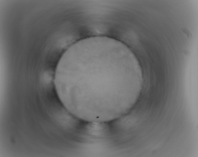 X0000113620672200910161954