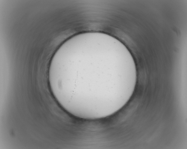 X0000113620673200910161953