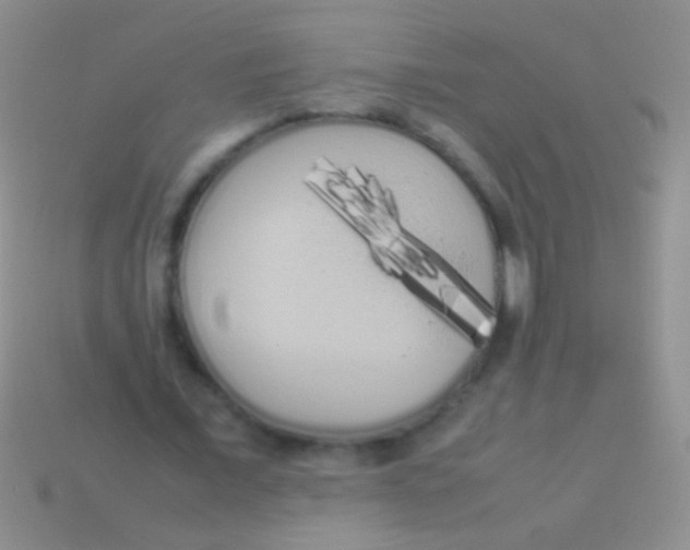 X0000113620675200910161953