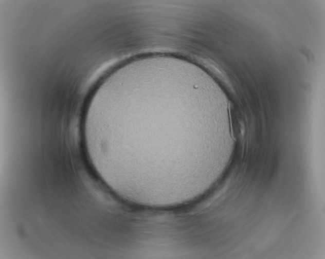 X0000113620676200910161953