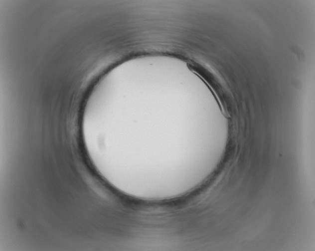 X0000113620677200910161953