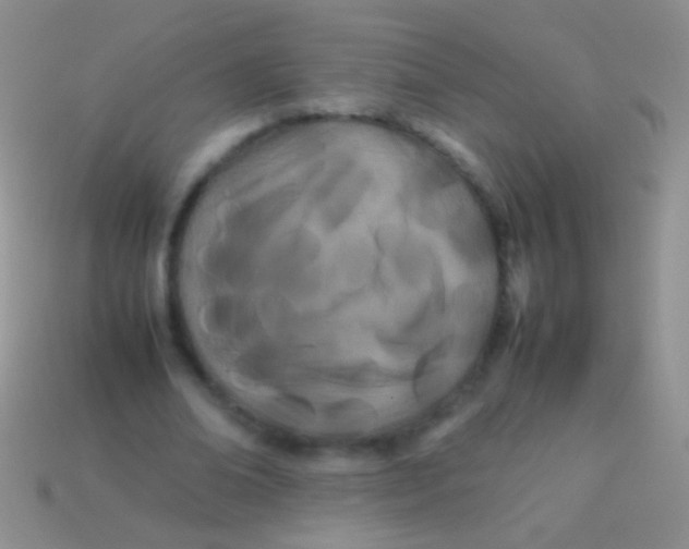 X0000113620678200910161953