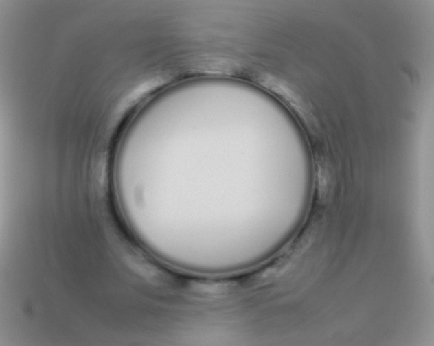 X0000113620679200910161953