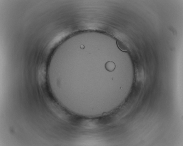 X0000113620680200910161953