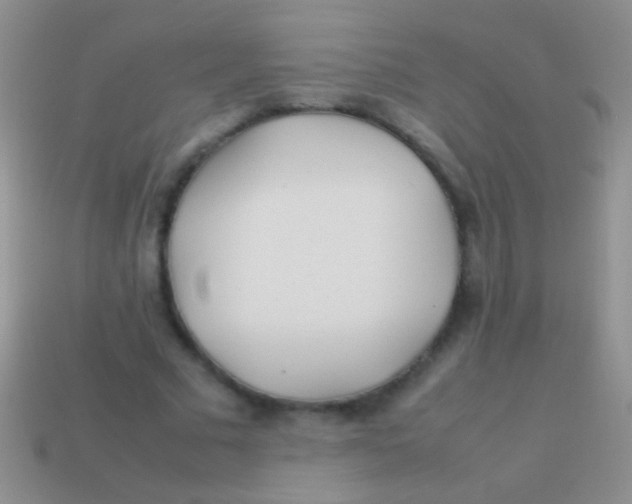 X0000113620681200910161953