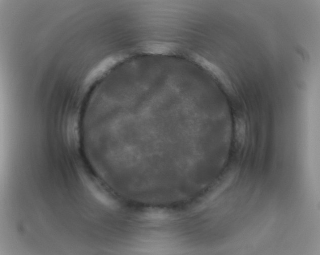 X0000113620682200910161953
