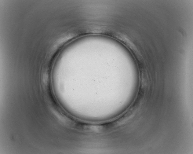 X0000113620683200910161953