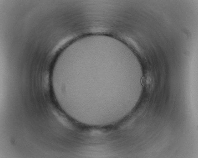 X0000113620684200910161953