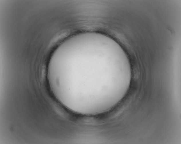 X0000113620685200910161953