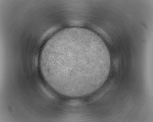 X0000113620686200910161953