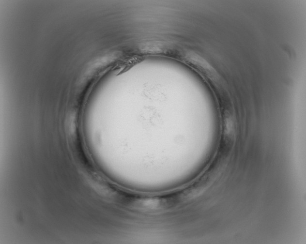 X0000113620687200910161953