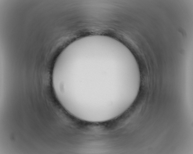 X0000113620689200910161953