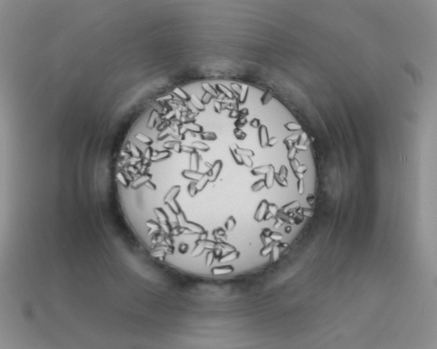 X0000113620690200910161953