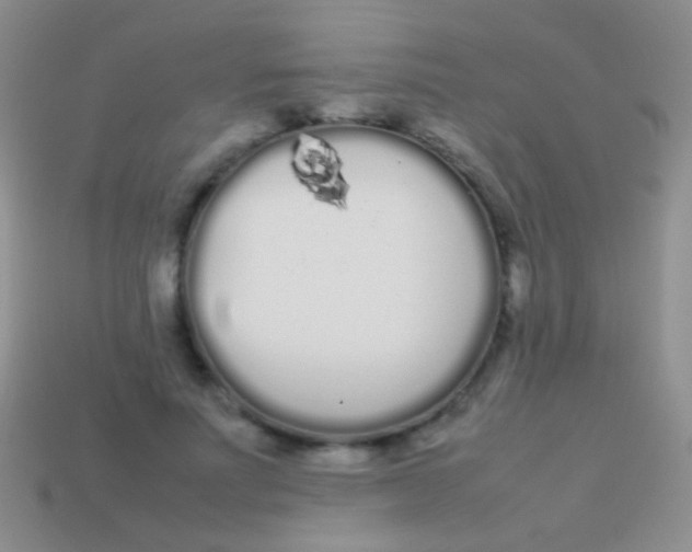 X0000113620691200910161953