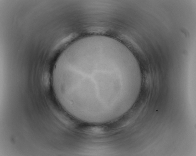 X0000113620692200910161953