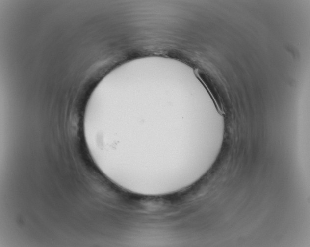 X0000113620693200910161953