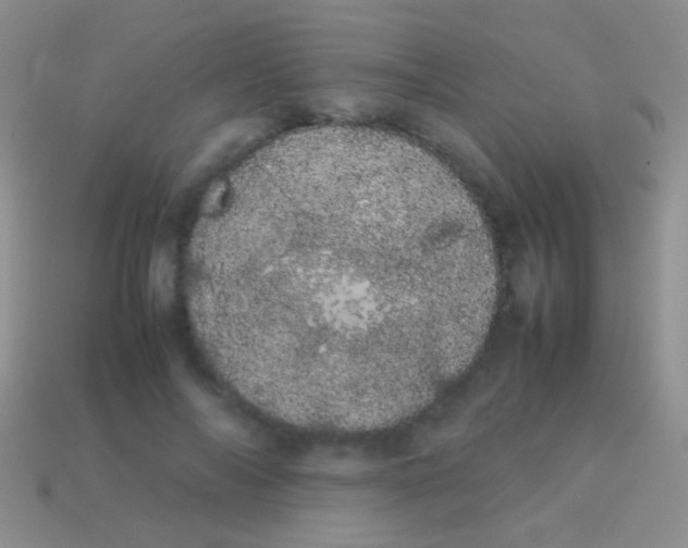 X0000113620694200910161953